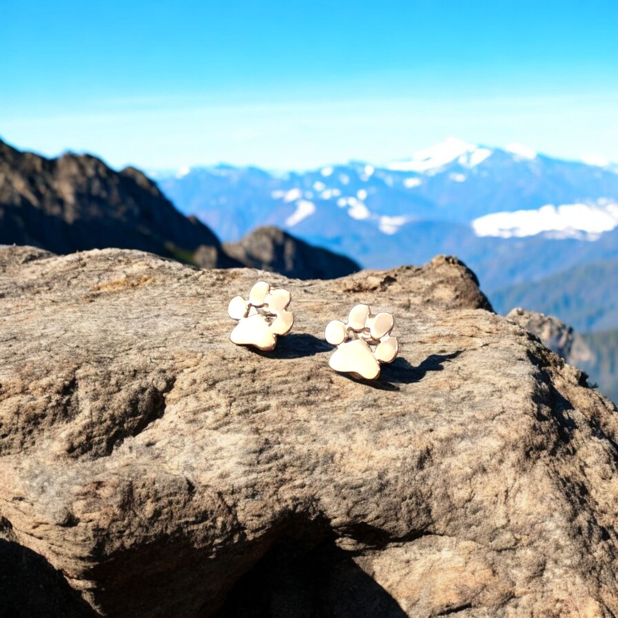 Allergy-Friendly Paw Earrings – Crafted from Stainless Steel